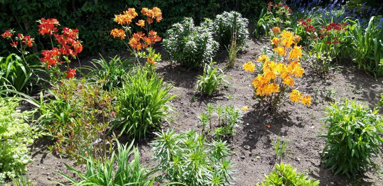 Bed & Breakfast Hobro Bagian luar foto